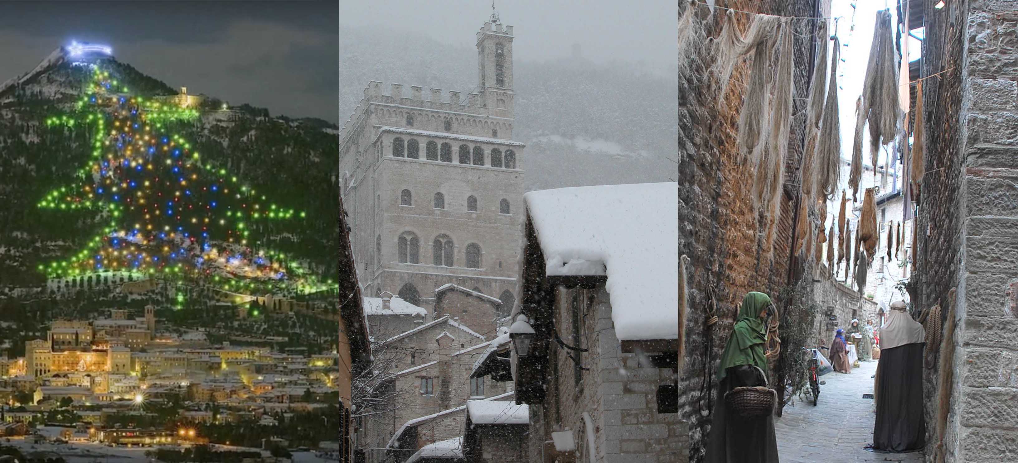 Albero di Gubbio